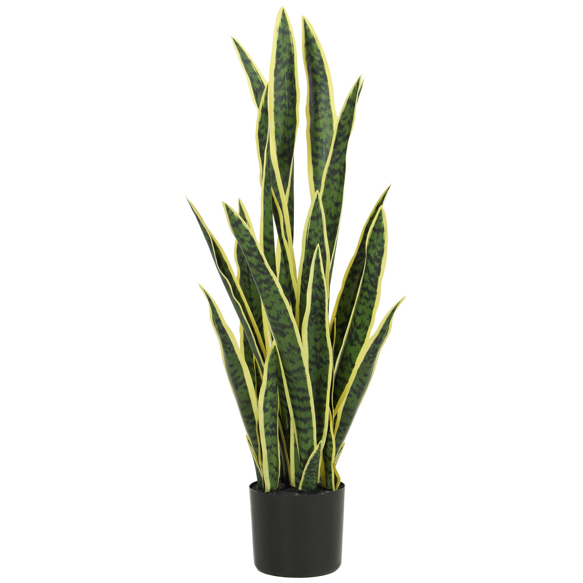 Sanseveria Artificiale in...