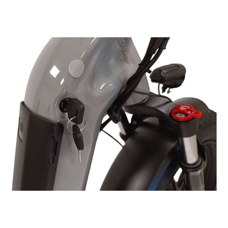 Fat-Bike Bicicletta Elettrica Pieghevole 36V a Pedalata Assistita 20"" 250W Grigio Nardò