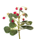 Set 4 Rami Artificiali con Fragoline di Bosco a 3 Diramazioni H 29 cm