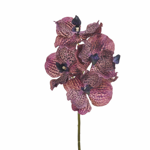 Set 4 Orchidées Artificielles Vanda Hauteur 62 cm Rose sconto