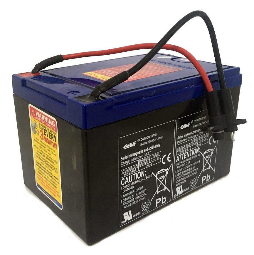 Batterie rechargeable 12V...
