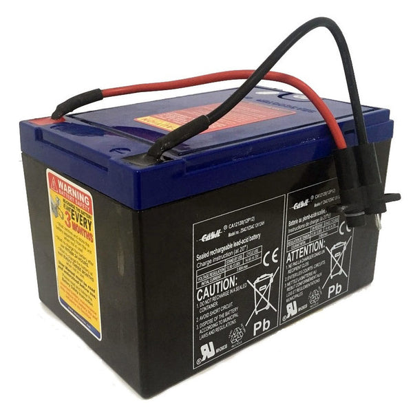 Batterie rechargeable 12V 12Ah YZS4C pour Seascooter Yamaha série RDS et Seadoo online