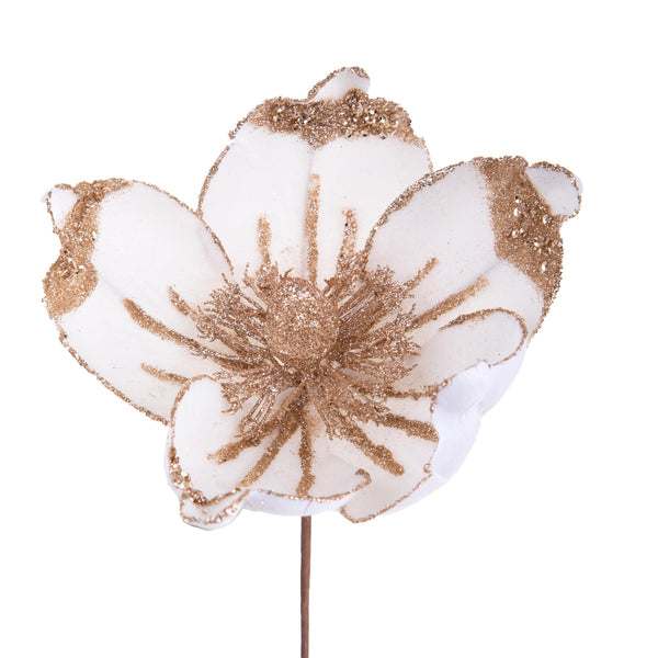online Lot de 12 Pics Magnolia 15 cm Crème