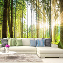 Fotomurale - Forest Tales 300X210 cm Carta da Parato Erroi
