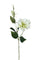 Lot de 12 Branches de Lisianthus Artificielles 2 Fleurs H 60 cm
