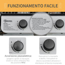 Barbecue a Gas 2 Fuochi 104x49x99 cm in Acciaio e Plastica PP Nero