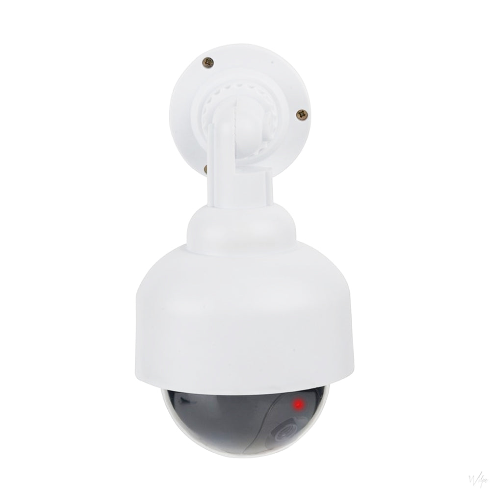 Telecamera Finta Videosorveglianza...