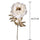 Set 6 Pivoine Feuilles Dorées H63 cm Crème