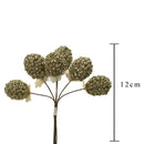 Set 24 More con Glitter H12 cm Champagne