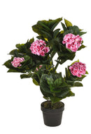 Ortensia Artificiale con Vaso Altezza 74 cm Rosa