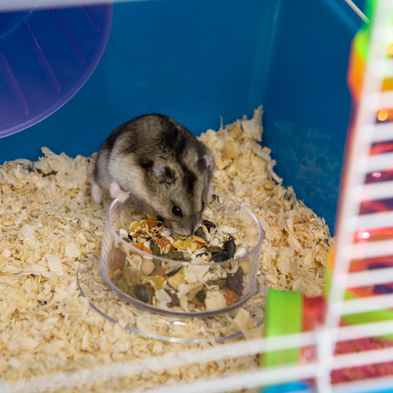 Gabbia per Criceti e Roditori 59x36x69 cm con Accessori Blu  