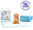 Set 80 Tappetini Assorbenti Profumo Lavanda 60x60 cm in Poliestere Bianco/Azzurro