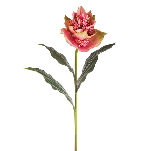 prezzo Set 2 Medinilla Fleurs Artificielles Hauteur 86 cm Rose