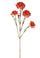 Set 8 fleurs d'oeillets artificielles Hauteur 62 cm Orange