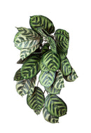 Foglie Artificiali Amaranta Vine 59 cm