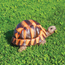 Tartaruga Media in Resina H14 cm per Laghetti e Giardini