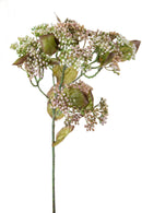 Set 6 Sedium Artificiali con Foglie Altezza 60 cm Beige