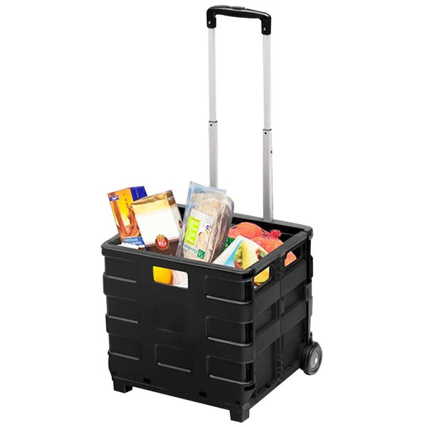 prezzo Carrello Trolley Multiuso Pieghevole Kinzo 2 Ruote Manico Per Spesa e Campeggio Kinzo