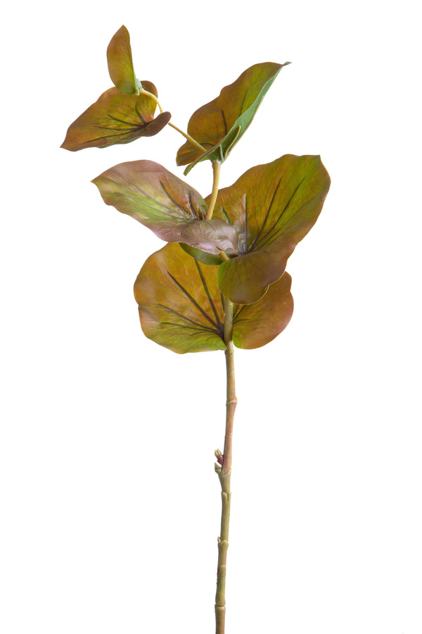 acquista Set 12 Branches de Kalanchoé Artificiel Hauteur 74 cm Marron