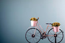 Modellino Bicicletta con Cestini Larghezza 80 cm