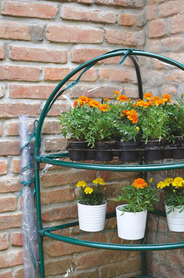 prezzo Serre de Jardin Angulaire en Métal et PVC Bertozzi