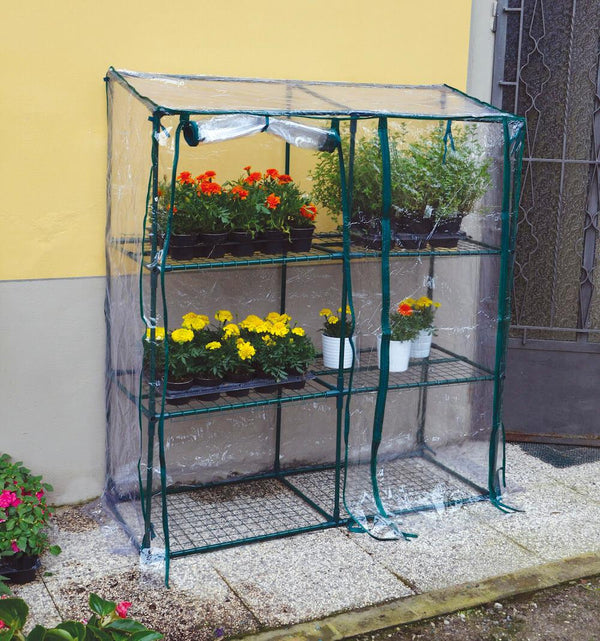 Serre de jardin rectangulaire Bertozzi en métal et PVC prezzo