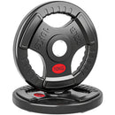 Set di Dischi Pesi 2x10 kg con Foro da 5 cm e 3 Impugnature Acciaio con Rivestimento in Plastica Nero      
