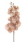 Set 6 Fleurs Phalenopsis Br/Or H81 cm Beige