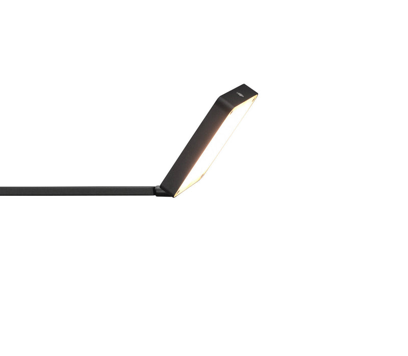 Piantana da Interno a LED in Metallo Nero Opaco