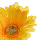 Set 12 Fiori Artificiali di Gerbera H 53 cm