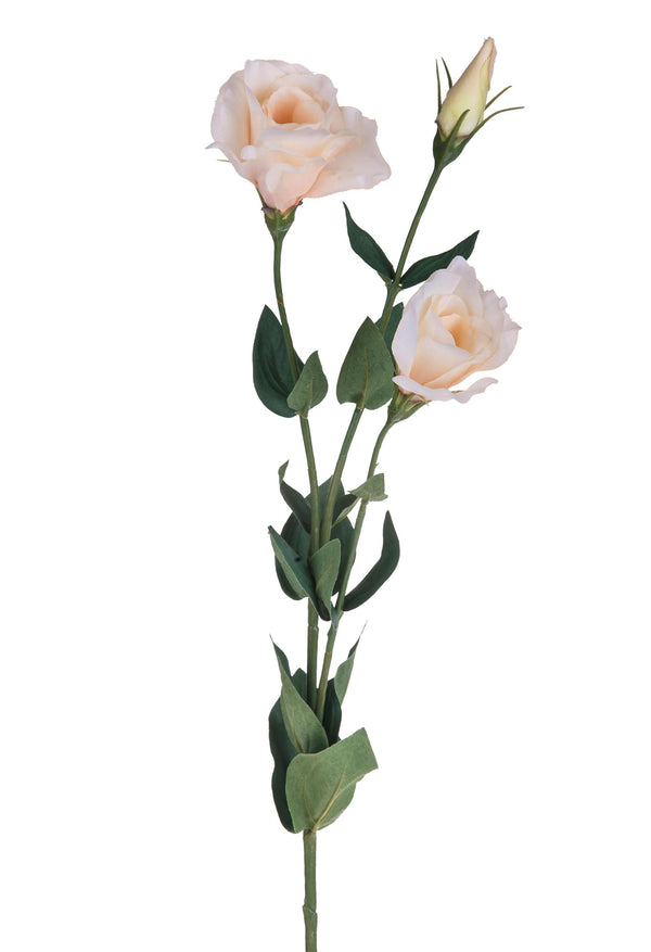 Lot de 6 lisianthus artificiels avec fleurs hauteur 75 cm prezzo