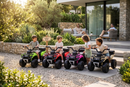 Quad Elettrico per Bambini Safari 6V con Bauletto Posteriore Verde