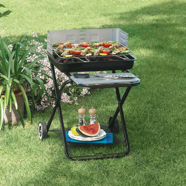 prezzo Barbecue à Charbon Pliable en Acier Ranieri Clic Clac