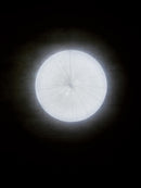 Plafoniera Tonda a LED da Interno 24W con Dispositivo CCT3 Sovil Bianca