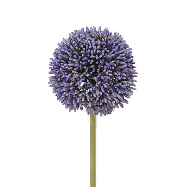 sconto Set 6 Fiori Artificiali di Allium H 66 cm