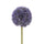 Set 6 Fiori Artificiali di Allium H 66 cm