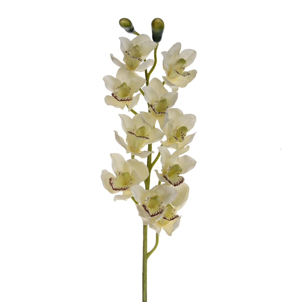 Set 2 Cymbidium Artificiel Real Touch avec 10 Fleurs et 2 Boutons Hauteur 92 cm Blanc online