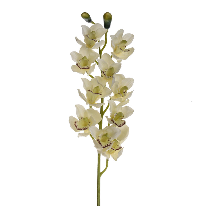 Set 2 Cymbidium Artificiale Real Touch con 10 Fiori e 2 Bocci Altezza 92 cm Bianco