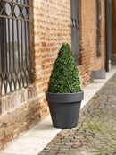 Vaso in Polietilene Tulli Vaso Standard One Essential Bronzo Varie Misure