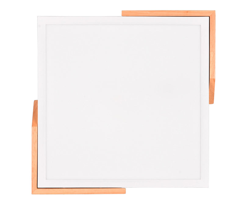 Plafoniera da Interno a LED in Plastica Bianco Opaco