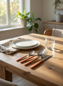 Servizio Set di Posate 24 Pezzi in Acciaio Eme Fast Arancio 79