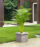 Vaso 40x40x35cm in Resina Tulli Quadro Liscio Classic 40 Cappuccino