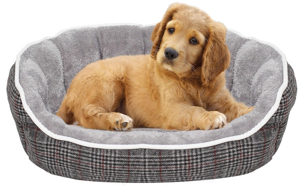 Niche pour Chiens et Chats en Polyester Gris Clair Ecosse Différentes Tailles acquista