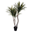 Dracena Marginata Artificiale in Vaso con 122 Foglie Altezza 120 cm Verde