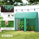 Serra da Giardino 200x100x178 cm 2 Porte Avvolgibili Copertura in PE 140g/m² Anti-UV Verde      