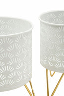 Porta Vasi Carly Coppia Ø16x20 cm - Ø13x20 cm in Ferro Oro      