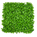 Parete Verde Verticale Artificiale 50x50 cm in Plastica