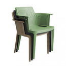 Poltrona Cathy 60x58x76,5 cm  in Polipropilene Verde