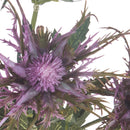 Set 6 Piante Artificiali di Cartamus Composta da 3 Fiori Altezza 67 cm Viola