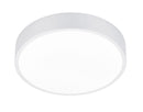 Plafoniera da Interno a LED in Metallo Bianco Opaco